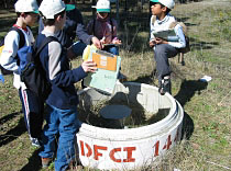 La préservation de la forêt