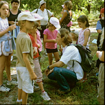 Promenons-nous dans les bois