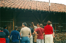 La fabrication de charpentes et de maisons en bois